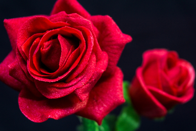 委婉暗示分手的句子文案 委婉暗示分手的句子文案