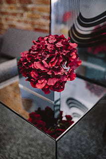 形容感情忽冷忽热的句子文案 忽冷忽热的句子文案经典