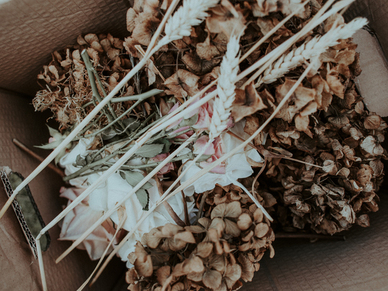 古风诗句文案唯美爱情简短 唯美的关于爱情的古风诗句文案有哪些？