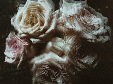 形容爱情的英文句子文案唯美 唯美的爱情英文句子文案