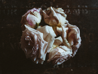 十字以内小情话文案一千句 情话文案短句十字以内