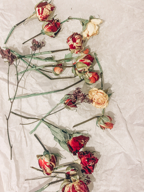 qq空间表白说说文案官宣