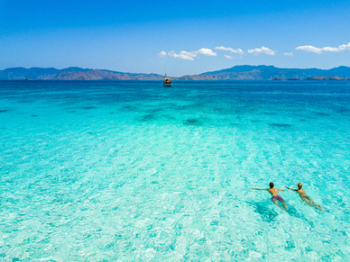 草莓的套路情话文案 你能自己想出哪些土味情话文案？