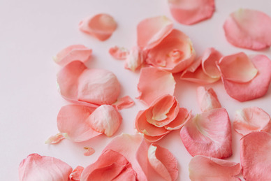 超级温柔的文案长篇400字 有哪些超温柔的文案？