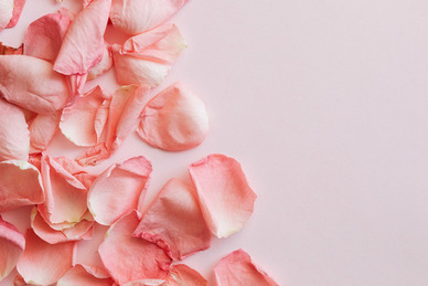 情感语录文案视频素材免费下载 情感类的视频素材要去哪里找？