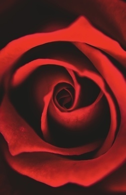 日出文案温柔 清晨的日出的唯美句子有哪些？