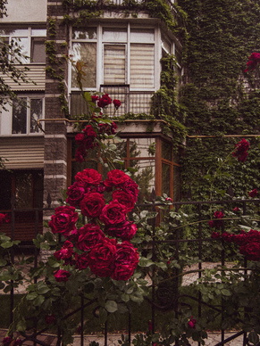 夫妻之间沉默的说说 夫妻关系冷淡的句子文案