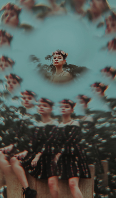 樱花树下的爱情句子文案 想要描写樱花的有意境的唯美句子文案～