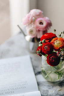 陪对象看电影的说说文案 和女朋友看电影时应该发什么唯美说说文案