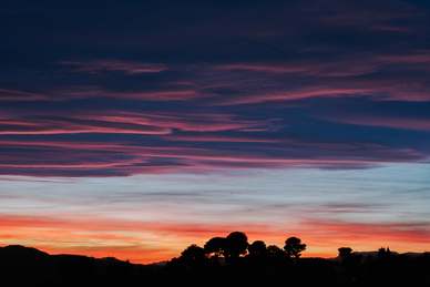 励志爱情短句霸气 励志爱情的句子文案