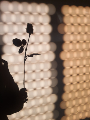 失去心爱的人伤心的话 失去最爱的一个人伤感说说文案