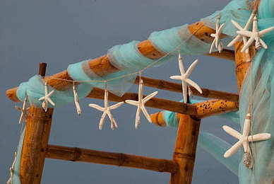 无声告白主文段摘抄 无声告白