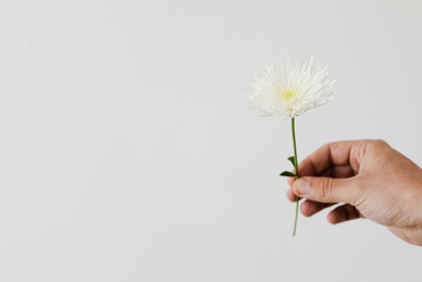 给男朋友安全感的句子文案 给男朋友安全感的情话