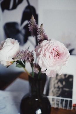 港风电影里的情话文案 哪部电影里的情话文案最打动你？