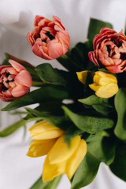 思念远方的你的句子文案 思念远方的你的句子文案