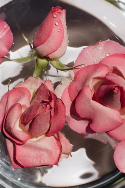 王者荣耀情感语录文案文字图片 王者荣耀台词大全