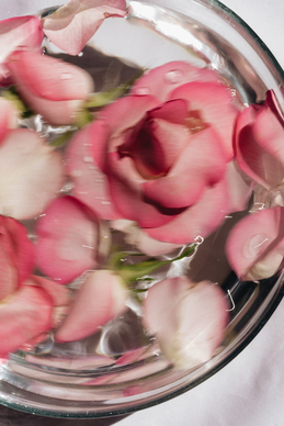 情侣暖心句子文案 情侣留言暖心句子文案简短永远