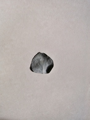 表达暗恋一个人的短句 暗恋一个人的古风唯美句子文案