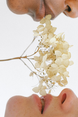 情人节八个字情话文案 情话文案最暖心八个字