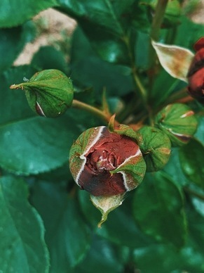 开车开到湿的句子文案 求几句老司机开车的句子文案