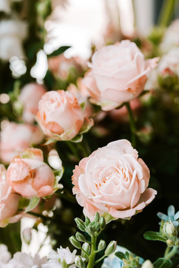 分手了一句话怎么挽回 因为一句话而分手，怎么挽回？？急