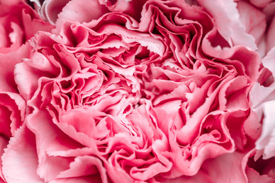 趁她睡着了给她发一段感人情话文案 深夜女友睡着了和他发哪些话语最感动