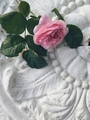 对爱情看透的哲理名言 爱情人生哲理名言