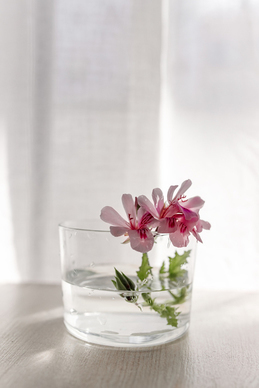 动画片里虐心短句怎么翻译 虐心英语怎么说