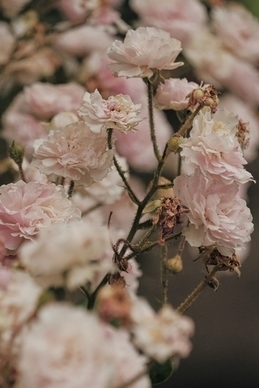 劝女人爱惜自己的话 怎么劝女生爱惜身体