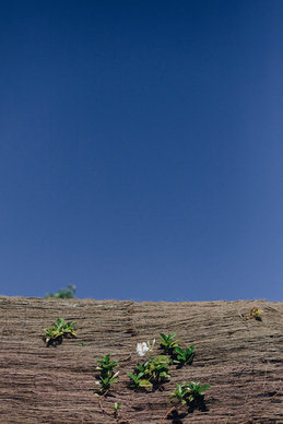 表示伤感的情感好句 伤感情感句子文案