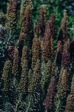 表达夫妻感情深厚的句子文案 表示夫妻感情好的句子文案