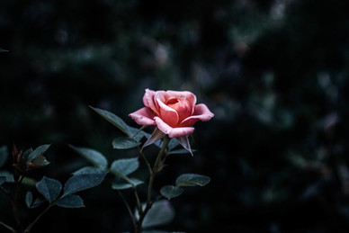 女朋友早上好甜蜜问候图片 早晨和女朋友的甜蜜问候语