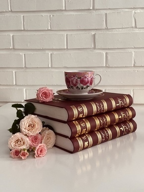 暖心说说文案2023最新 2023年祝福的话语,句句暖人心