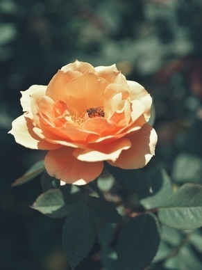 写给外婆的话暖心到哭 对姥姥说的暖心话