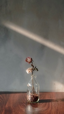 过节想念去世的爸妈的句子文案 过年了想念去世的父母伤感句子文案