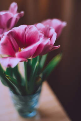 姐弟最暖心短句 姐弟之间暖心的句子文案