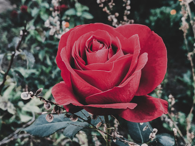 丧系温柔的文案 关于比较丧的文案有哪些