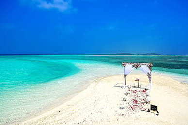 情感文案库 有哪些很经验的情感类文案？