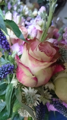 给女生表白的话真实点 对女生表白的话 现实一点