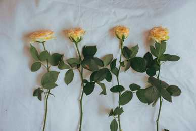 女生干净简单气质的句子文案 女生句子文案简单干净霸气