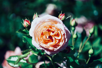 暖心的话对朋友简短 对朋友感恩的话语 暖心 简短