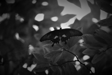 2023年最火爱情句子文案 2023新婚祝福词语最火有哪些句子文案？