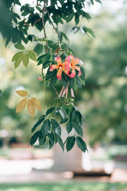 情人的句子文案怎么写 情人的话怎么写