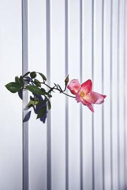 朋友圈高级秀恩爱句子文案 发朋友圈秀恩爱的句子文案