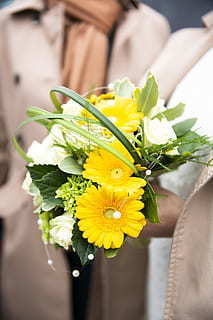 情感语录文案英语长篇 英语情感语句