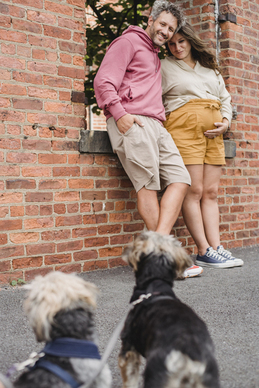 表示对对象失望的句子文案 表达自己对老婆很失望的句子文案有哪些?