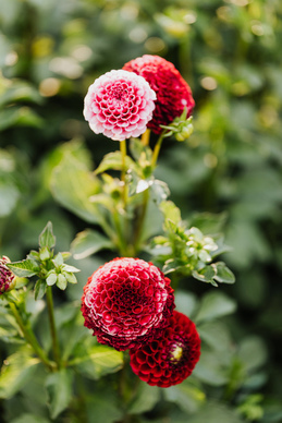 夫妻家庭语录文案与感悟 离婚感悟经典名言