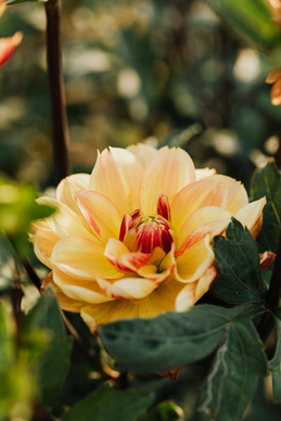 朋友圈主页背景图情侣专用