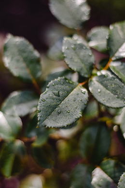异地恋发给男朋友的长篇语录文案 写给异地恋男朋友的话