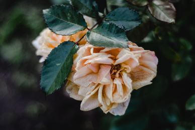 深夜开车感慨的诗句文案 驾驶员深夜开车的诗句文案